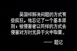 海南为什么选择专业追讨公司来处理您的债务纠纷？